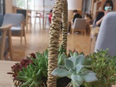 -司乎·日式鲜吐司(EFC欧美广场店)