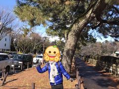 -名古屋城
