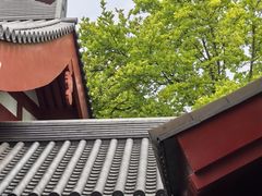 -大慈恩寺(大雁塔)