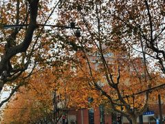 -复旦大学附属中山医院(西院区)