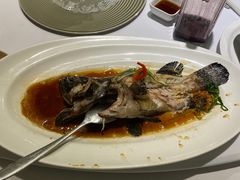 -宝燕壹号(徐汇店)