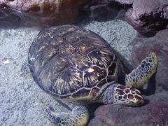 -郑州海洋馆