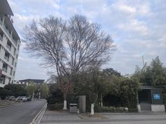 -苏州市立医院东区·停车场