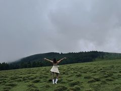 -芦芽山旅游度假区