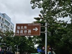 -北海海底世界
