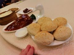-九花山烤鸭店