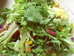 摇滚沙拉-盛京一禾