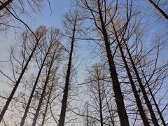 -国家植物园南园