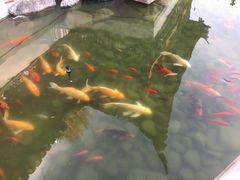 -祝家花園(伯渎港店)