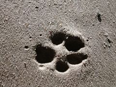 -西涌国际滨海旅游区