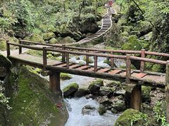 -青城山
