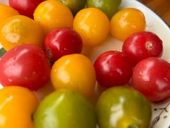 -水岸居湖景农家乐·阳澄湖大闸蟹