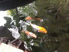 -侯臣咖啡文化村