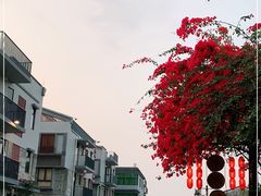 -同心泥烩鸡