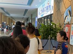 -帝企鹅自助餐厅•儿童岛•真企鹅(长隆企鹅酒店)