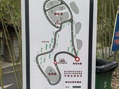 -都江堰中华大熊猫苑