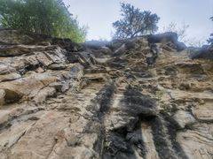 -天鹅湖生态旅游风景区