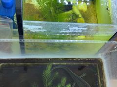 -北京观赏动物医院·24小时大型综合·猫专科·异宠专科