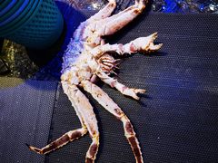 -青蓬海上捞蒸品海鲜城(海岸城店)