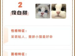 -爱侣宠医·鹦鹉专科·小型哺乳类·异宠专科(灵石路店)