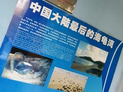 -广东惠东海龟国家级自然保护区
