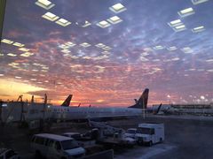 -约翰·菲茨杰拉德·肯尼迪国际机场