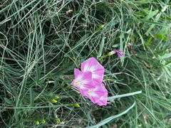 -北运河水利风景区