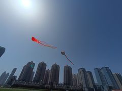 -星海广场