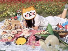 -映月湖中央公园