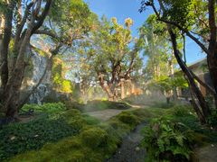 -Chom Cafe and Restaurant