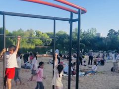 -青枫公园