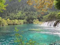 -九寨沟-树正沟