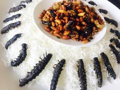 -大笮风(体育馆总店)