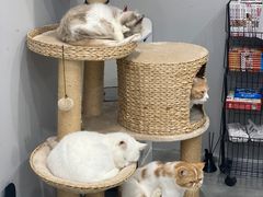 -极木²邸 人与宠物·互动社区