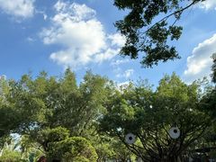 -东南花都花博园