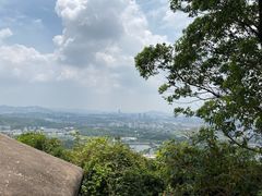 -火炉山森林公园