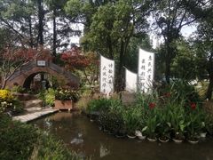 -苏州上方山国家森林公园