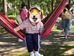 -长白岛森林公园