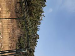 -龙爪山国家地质公园