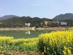 景点-新安江山水画廊风景区