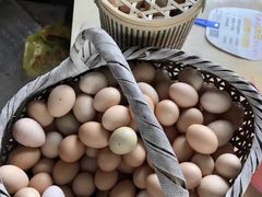 -马陆小张葡萄园农家乐