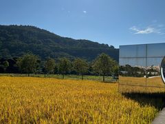 -风云岭森林公园