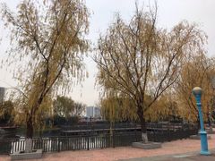 -海合安武汉极地海洋公园