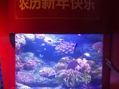 -暹罗海洋世界
