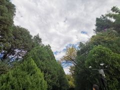 -蝴蝶泉公园