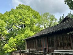 -乌村
