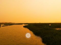 -芒洲湿地公园