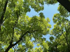 -洛阳市隋唐城遗址植物园
