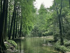 -波尔登森林公园