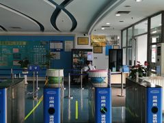 -奥体中心游泳馆